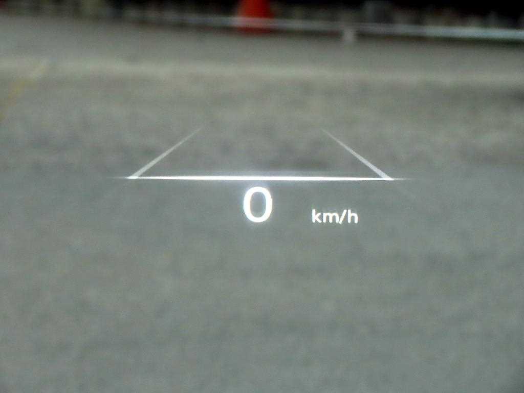 Genesis G80 - Vista 12