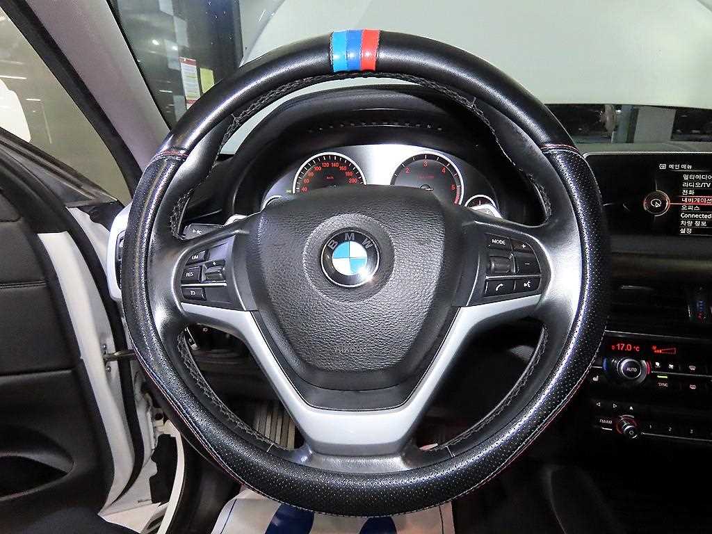 BMW X6 - Vista 10