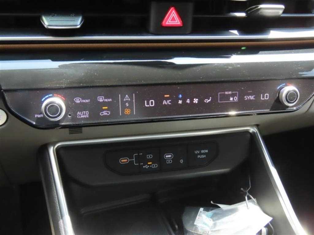 KIA Carnival - Vista 9