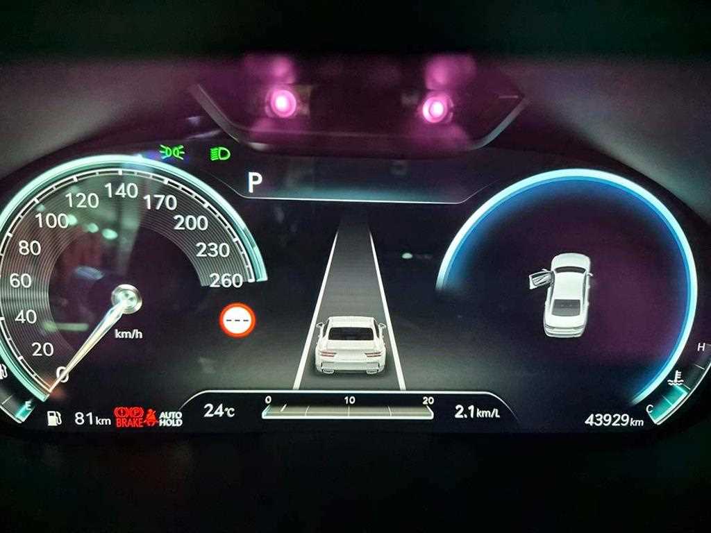 Genesis G80 - Vista 10