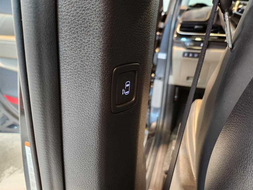 KIA Carnival - Vista 12
