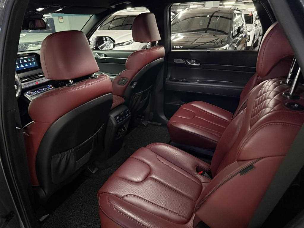 HYUNDAI Palisade - Vista 10
