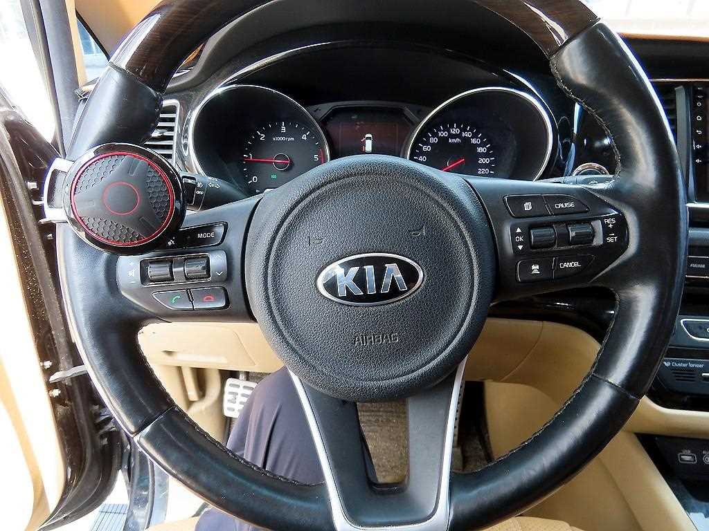 KIA Carnival - Vista 9