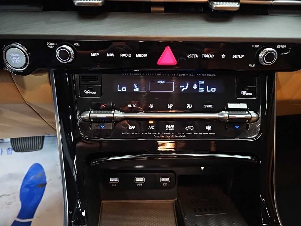 KIA Carnival - Vista 10