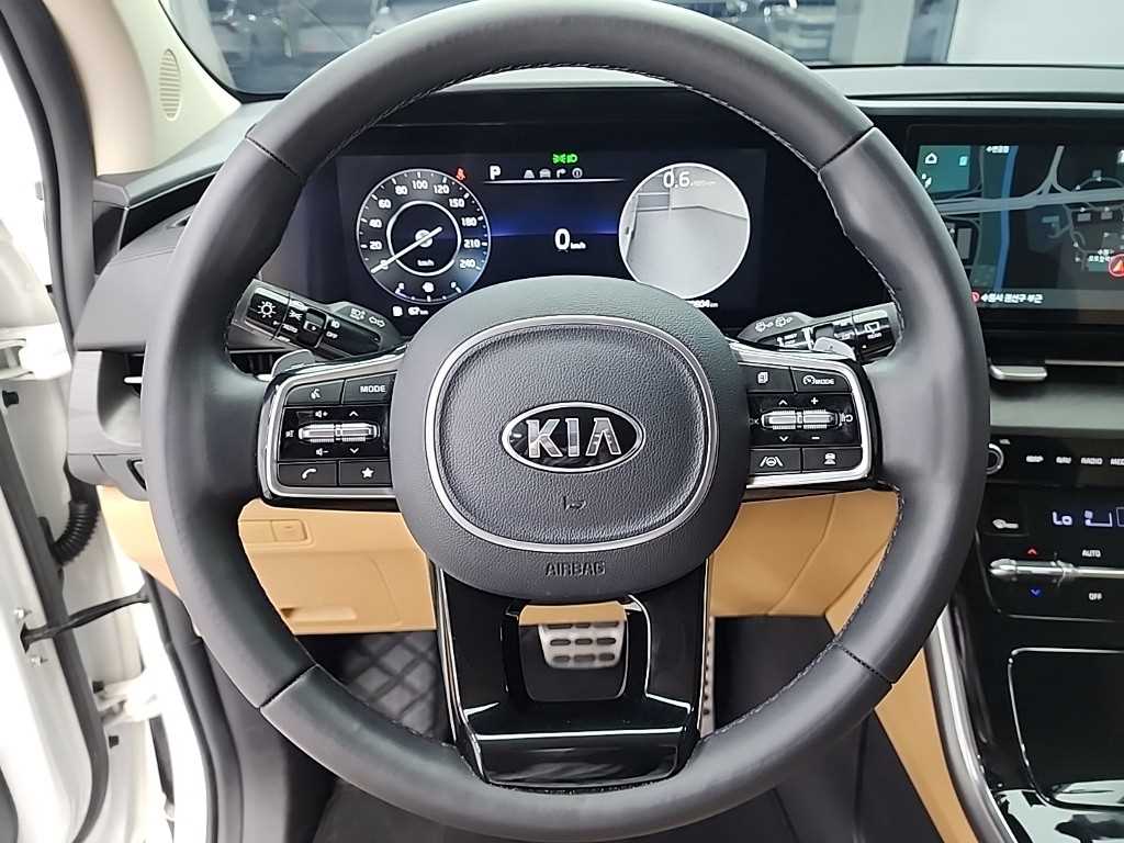 KIA Carnival - Vista 9