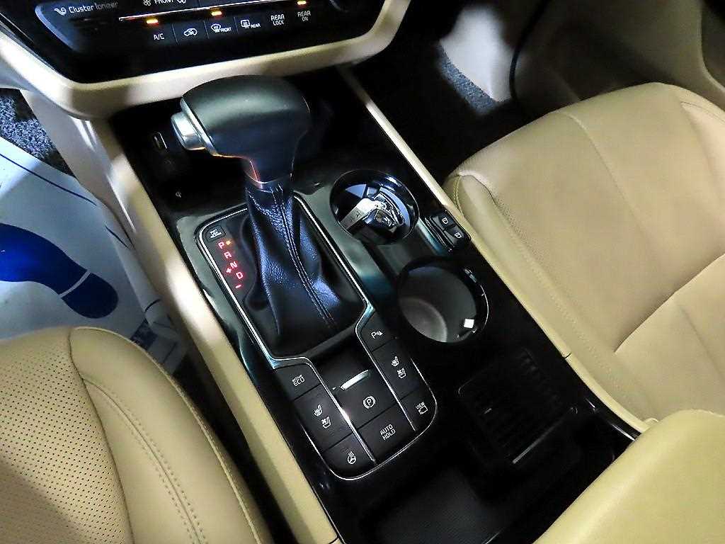 KIA Carnival - Vista 12