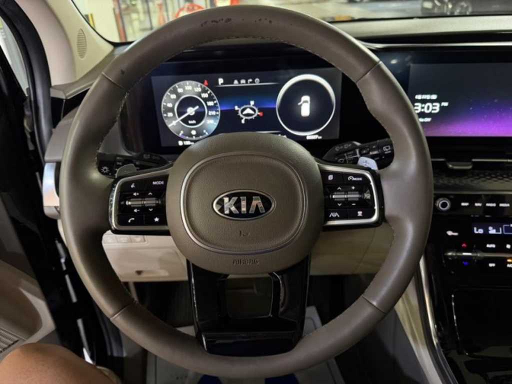 KIA Carnival - Vista 8