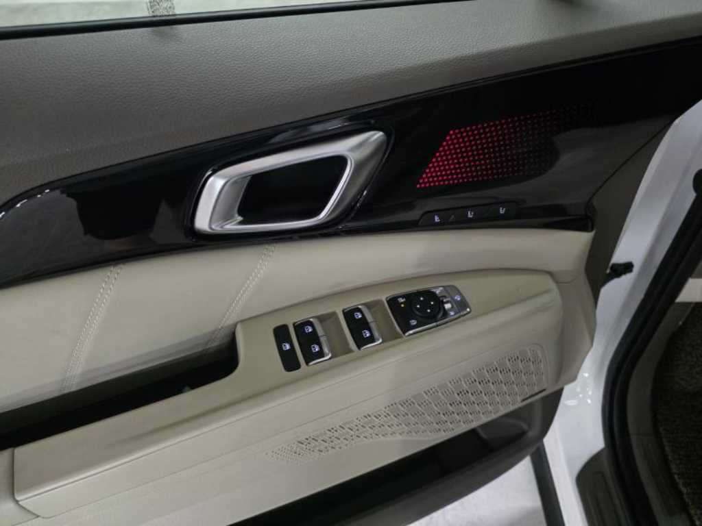 KIA Carnival - Vista 5