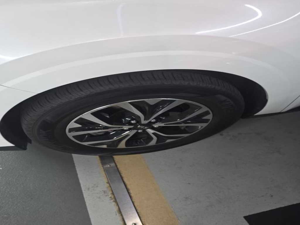 KIA Carnival - Vista 8