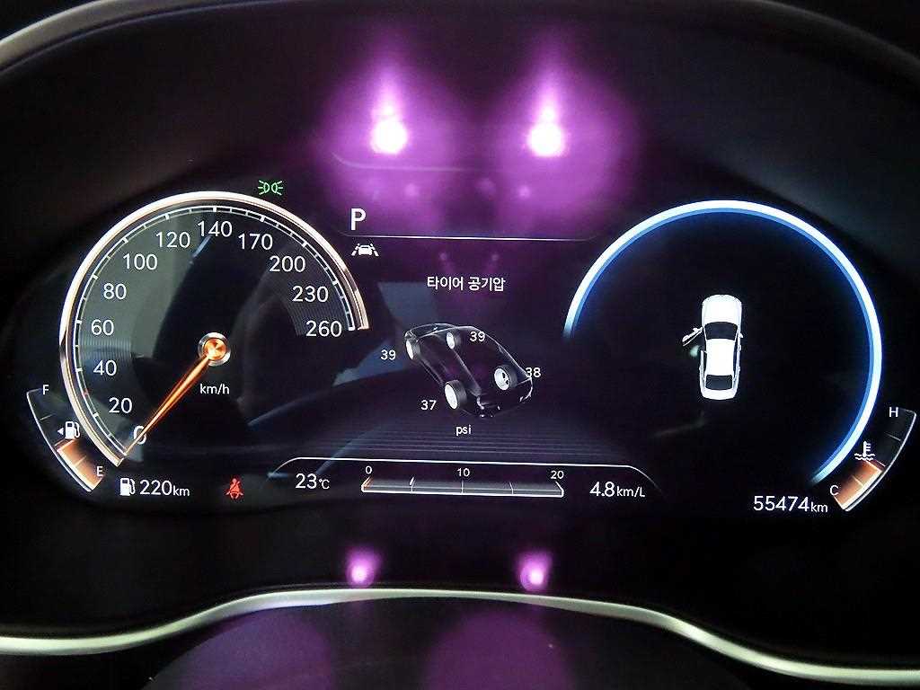 Genesis G80 - Vista 9