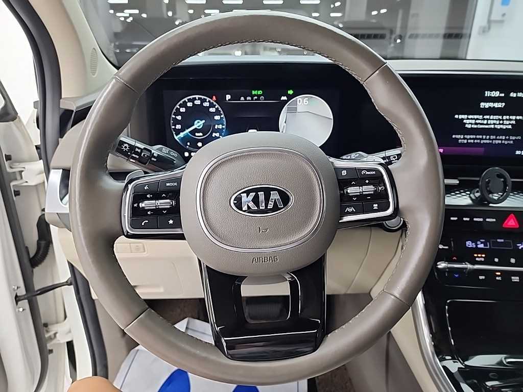 KIA Carnival - Vista 9