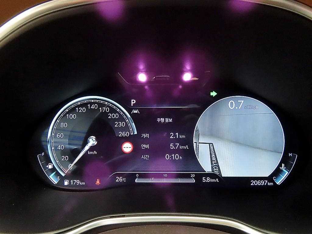 Genesis G80 - Vista 8