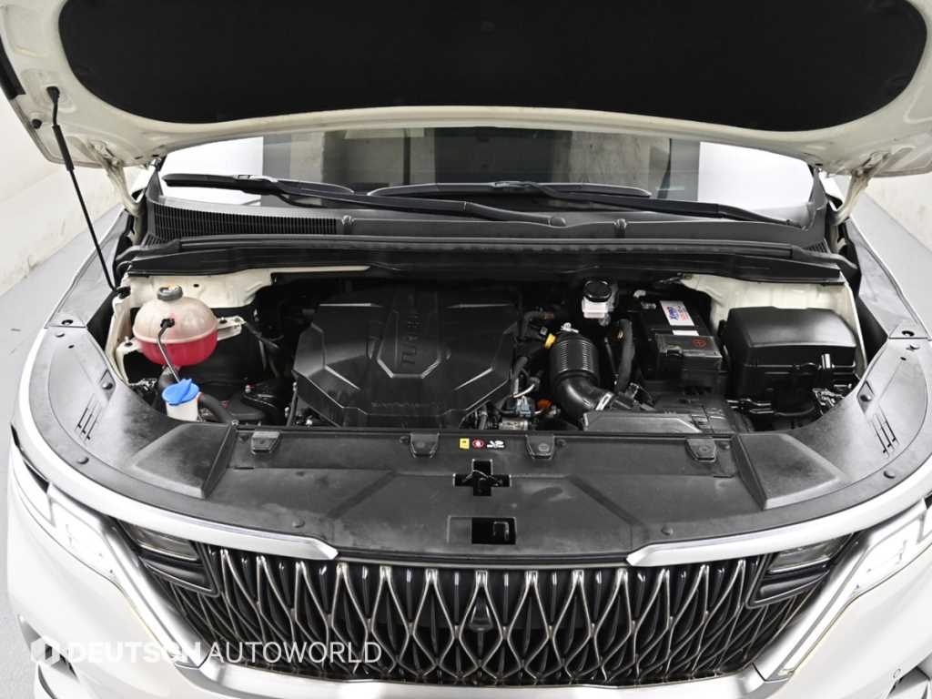 KIA Carnival - Vista 6