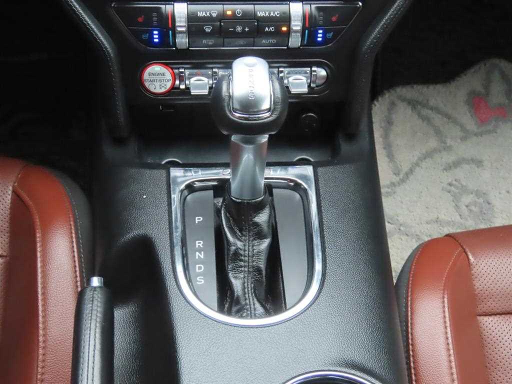 Ford Mustang - Vista 11