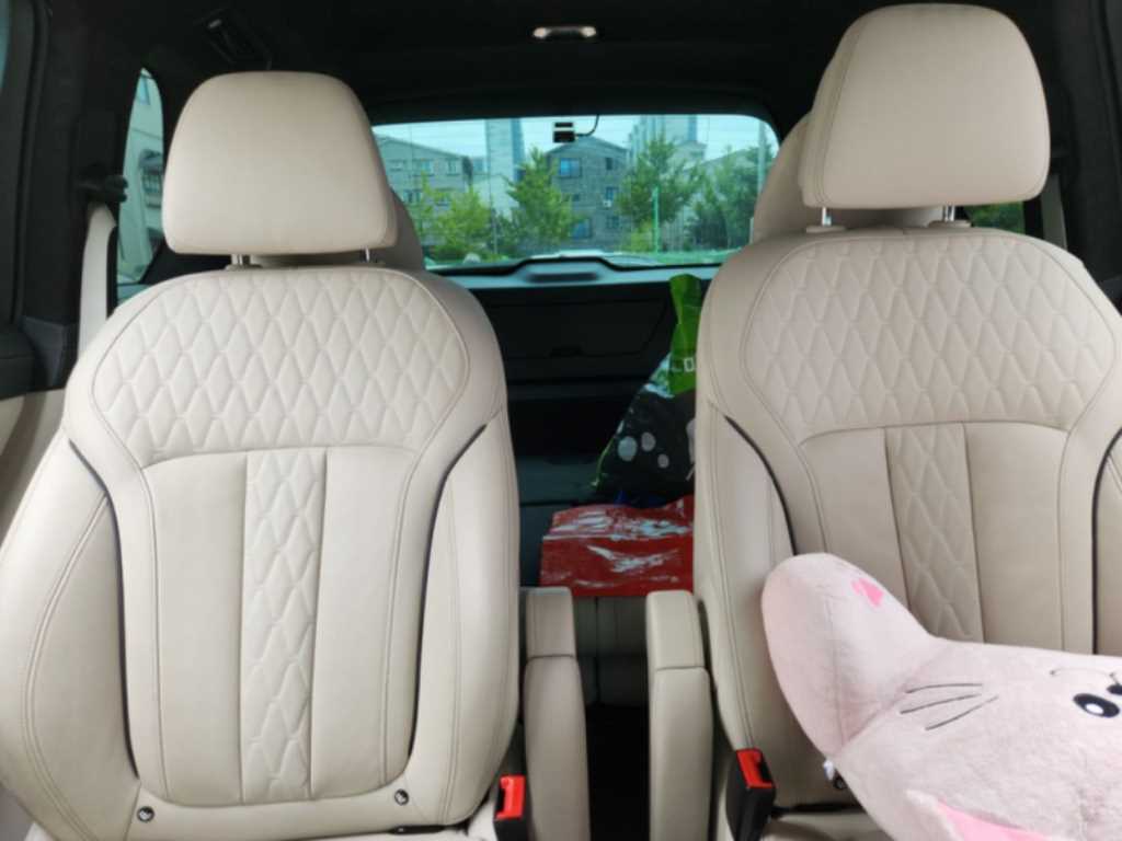BMW X7 - Vista 10