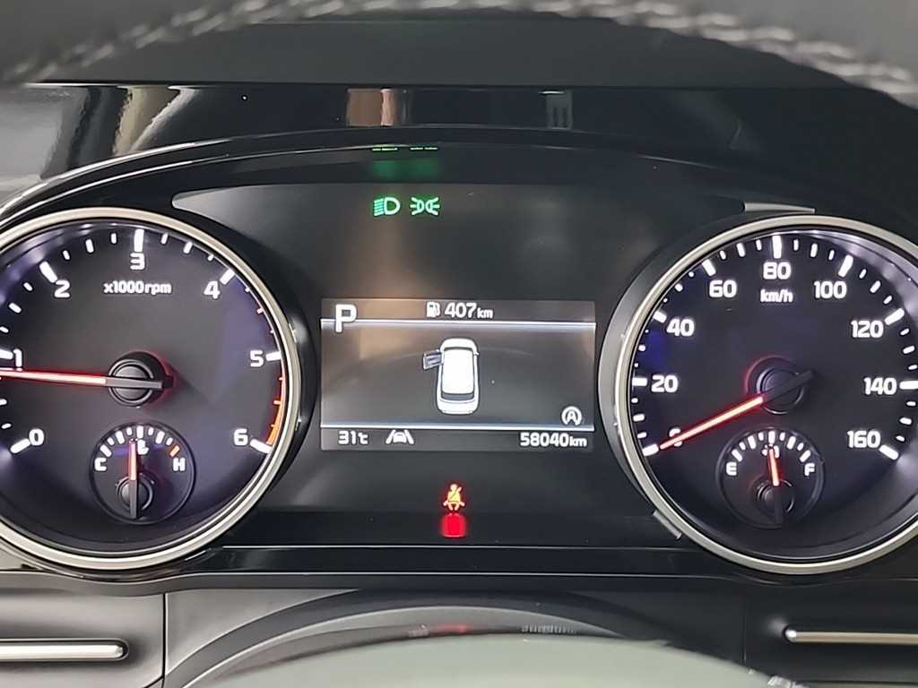KIA Carnival - Vista 8