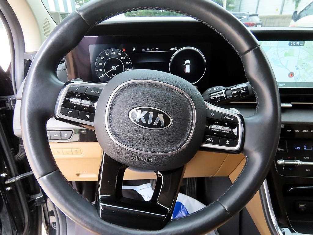 KIA Carnival - Vista 8