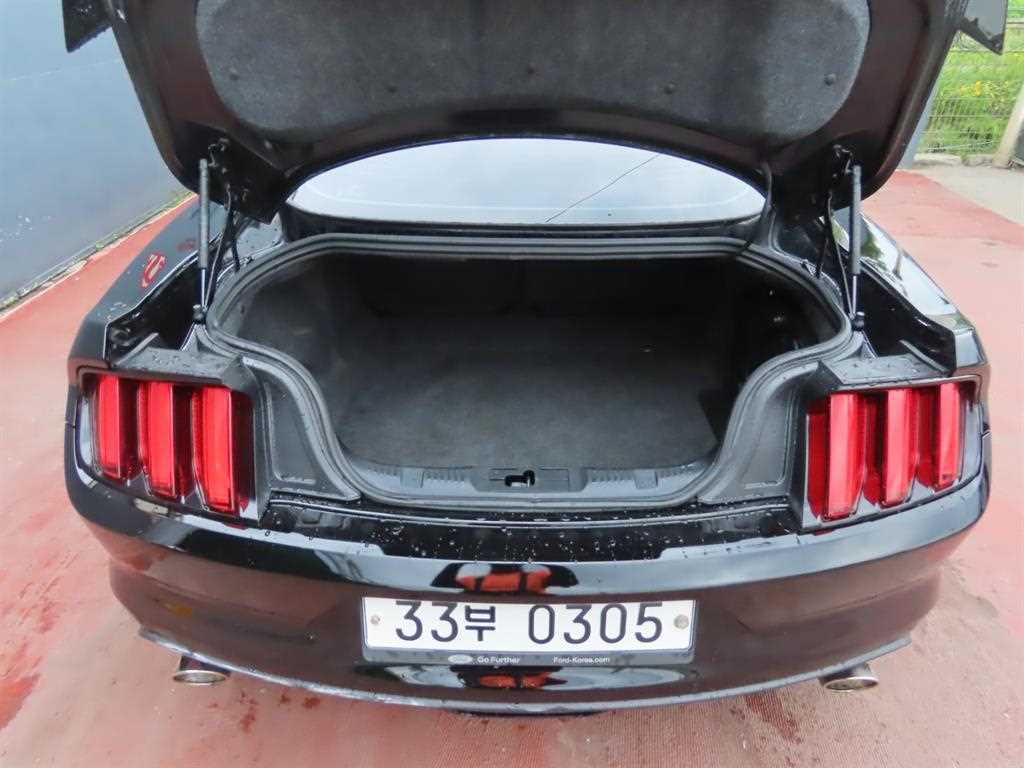 Ford Mustang - Vista 5