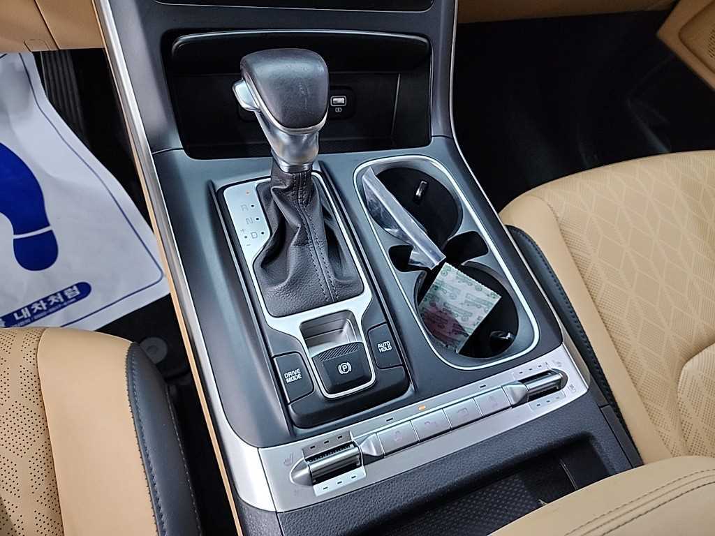 KIA Carnival - Vista 8