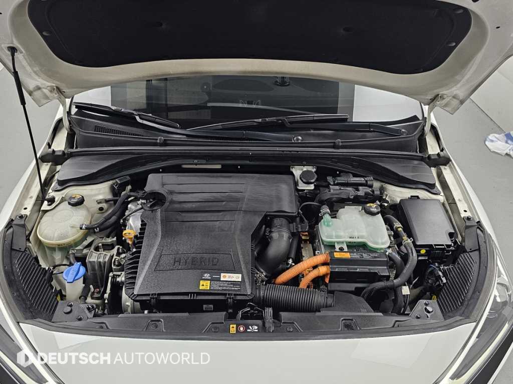 HYUNDAI Ioniq - Vista 6
