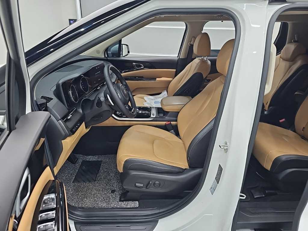 KIA Carnival - Vista 11