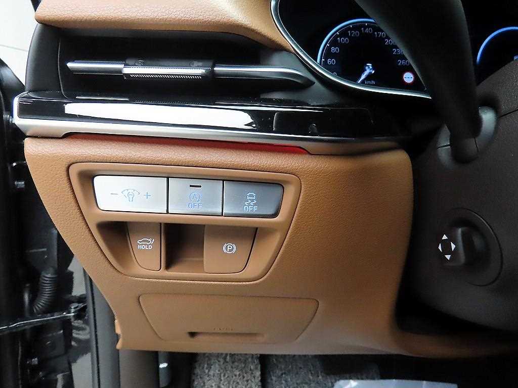 Genesis G80 - Vista 12