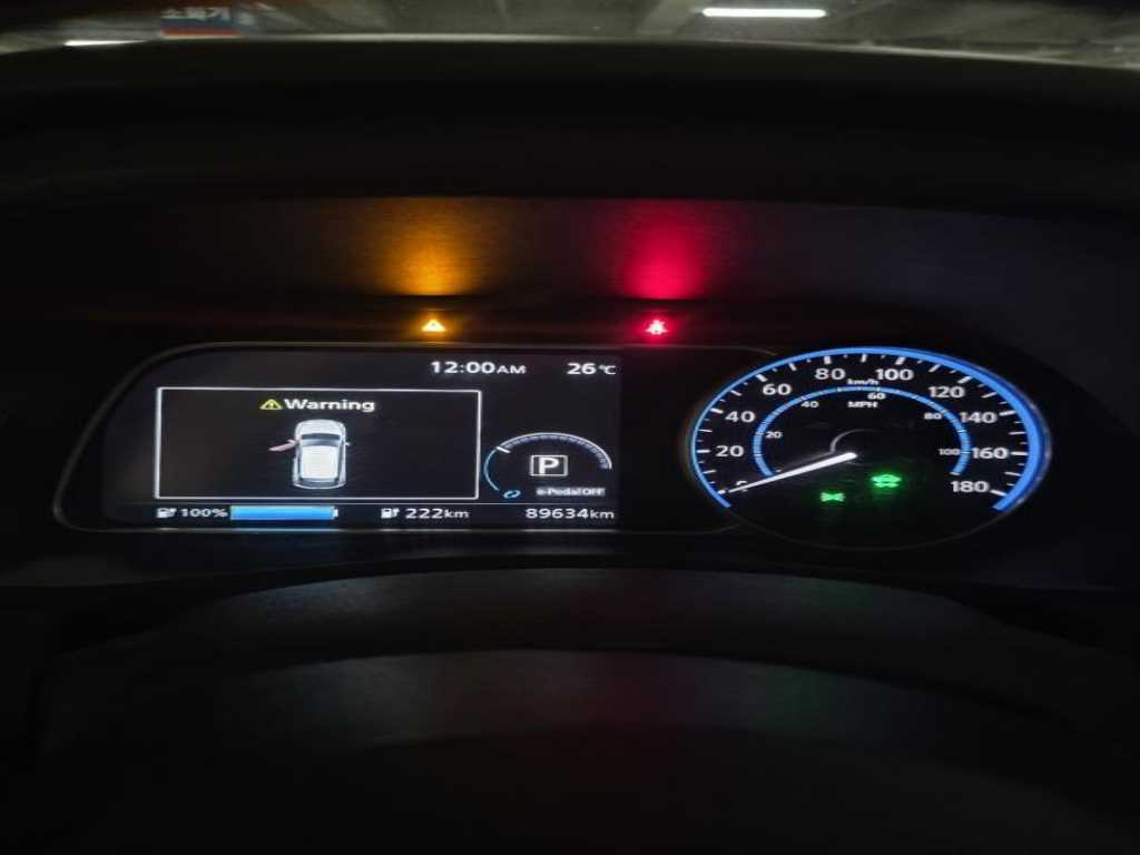 Nissan Leaf - Vista 10
