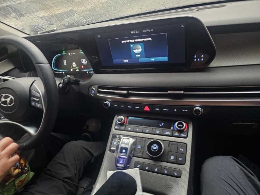 HYUNDAI Palisade - Vista 10