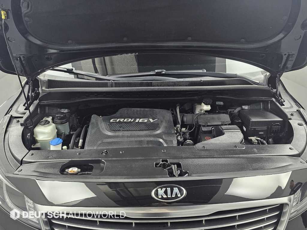 KIA Carnival - Vista 6