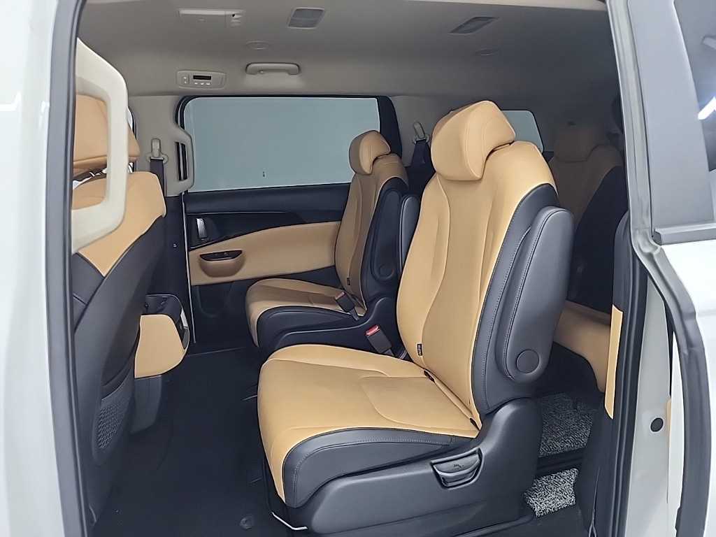 KIA Carnival - Vista 12