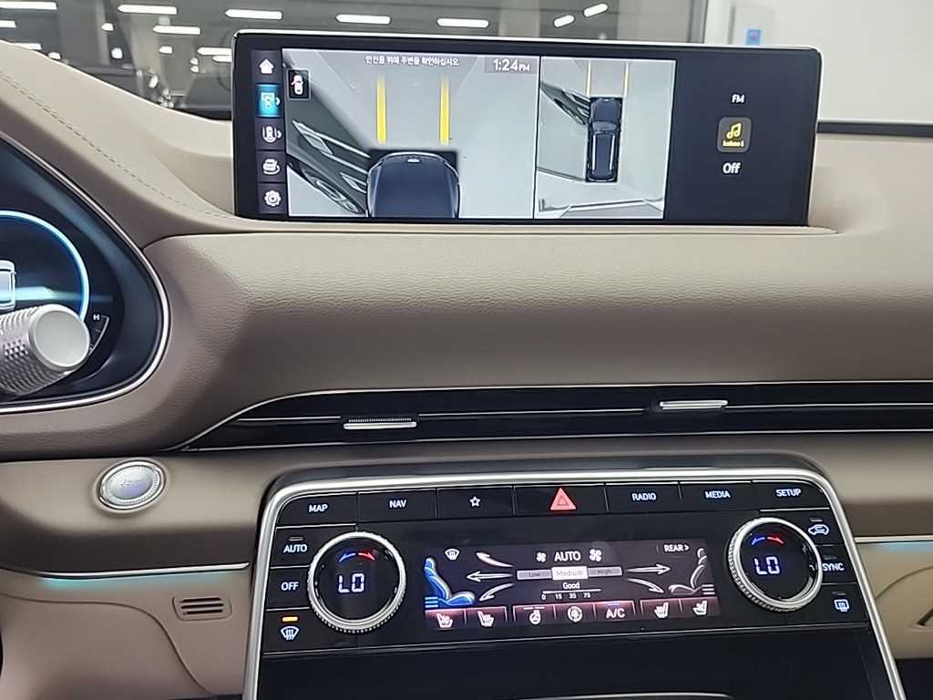 Genesis GV80 - Vista 10