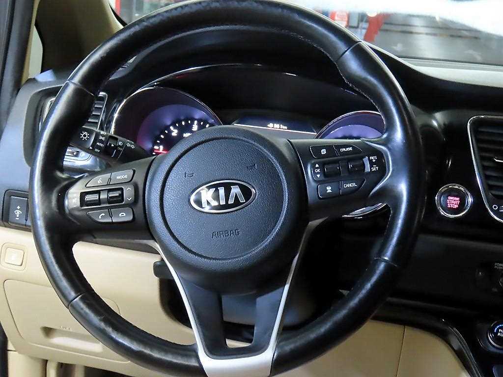 KIA Carnival - Vista 8