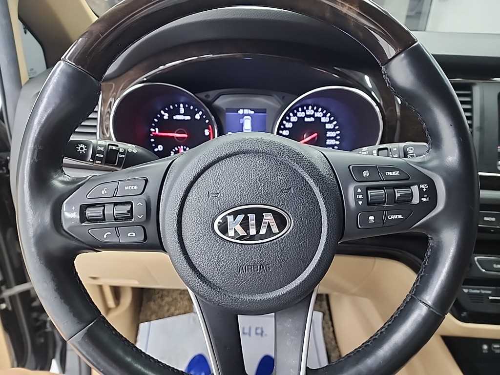 KIA Carnival - Vista 9