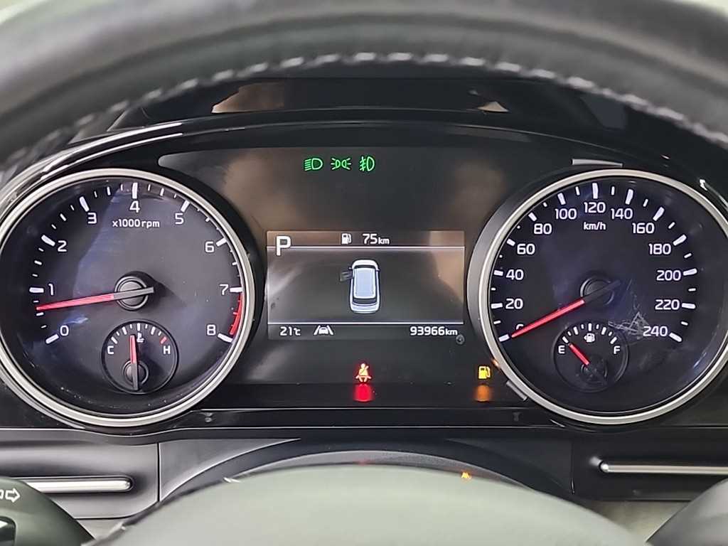 KIA Carnival - Vista 6