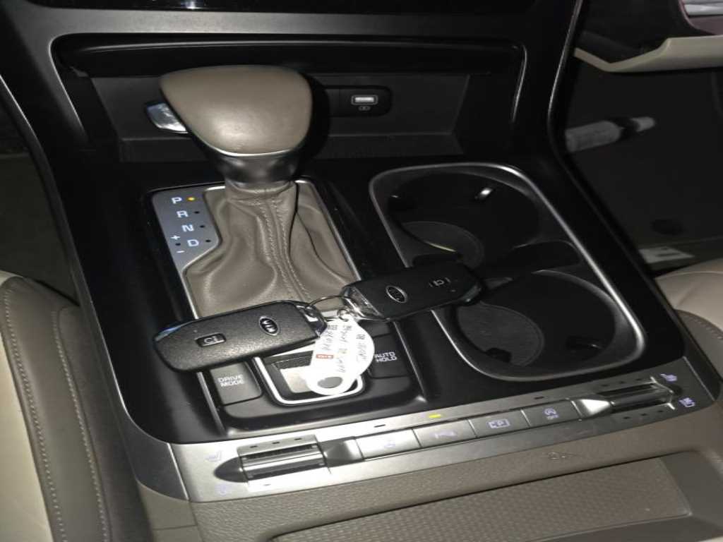 KIA Carnival - Vista 7
