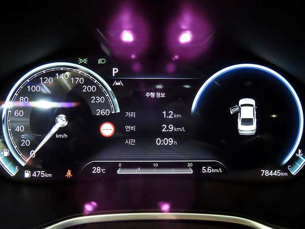 Genesis G80 - Vista 9