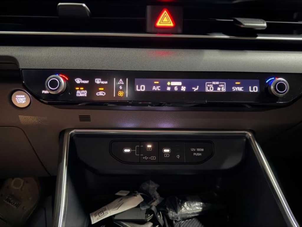 KIA Carnival - Vista 11