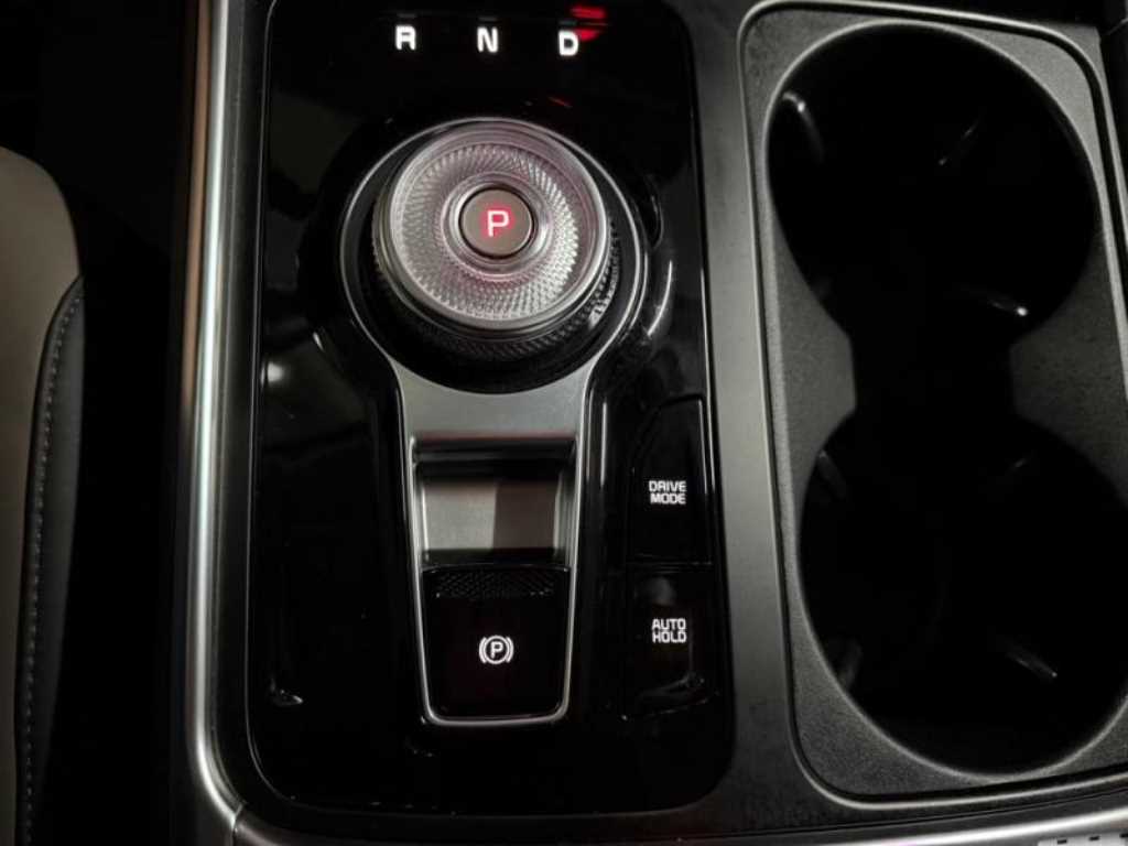 KIA Carnival - Vista 12