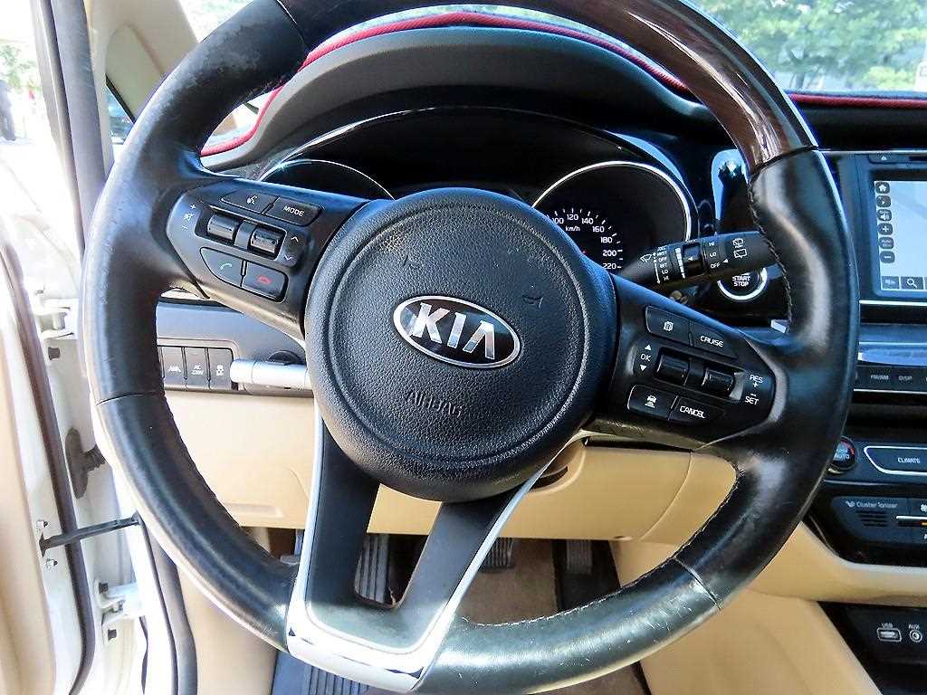 KIA Carnival - Vista 9