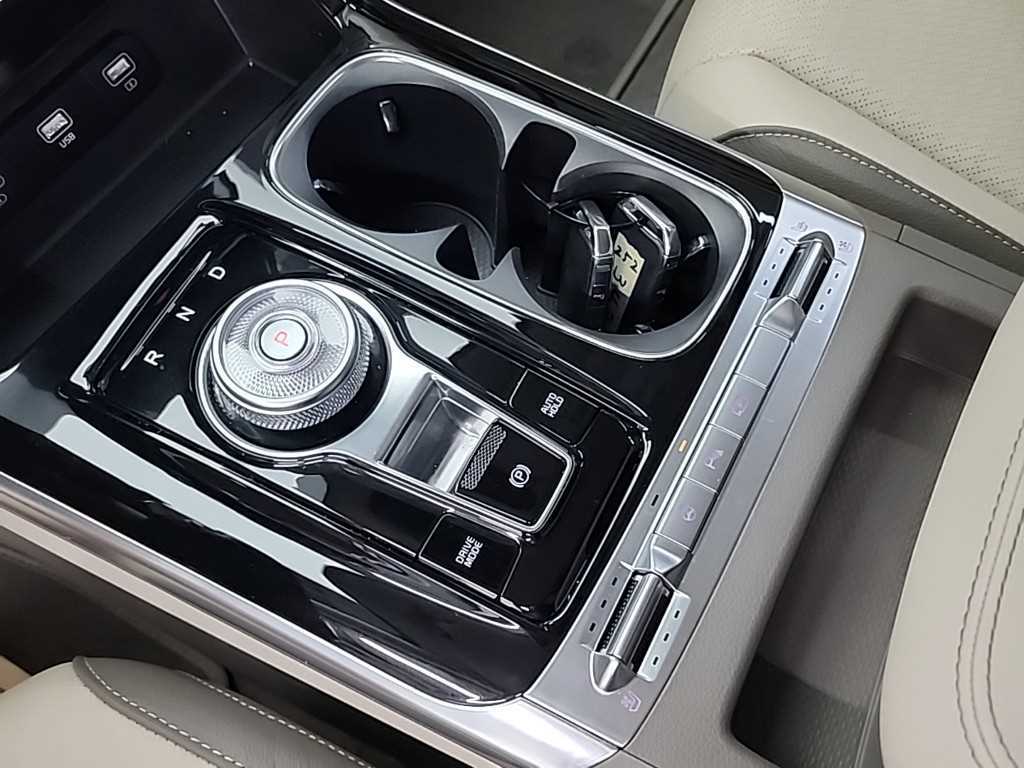 KIA Carnival - Vista 8