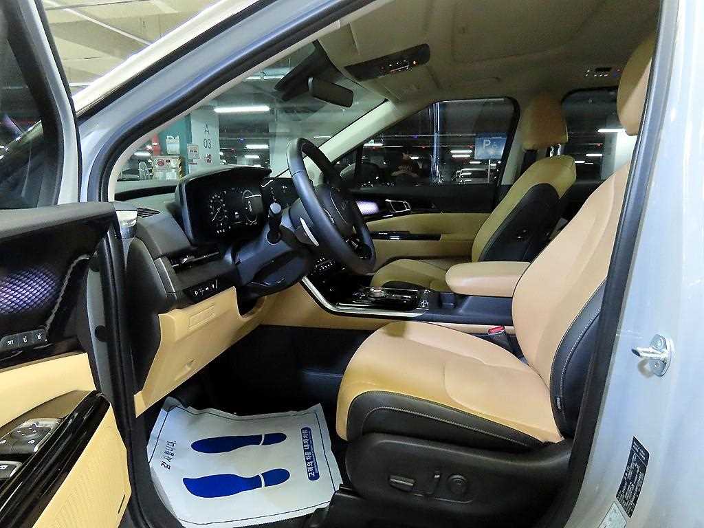 KIA Carnival - Vista 6