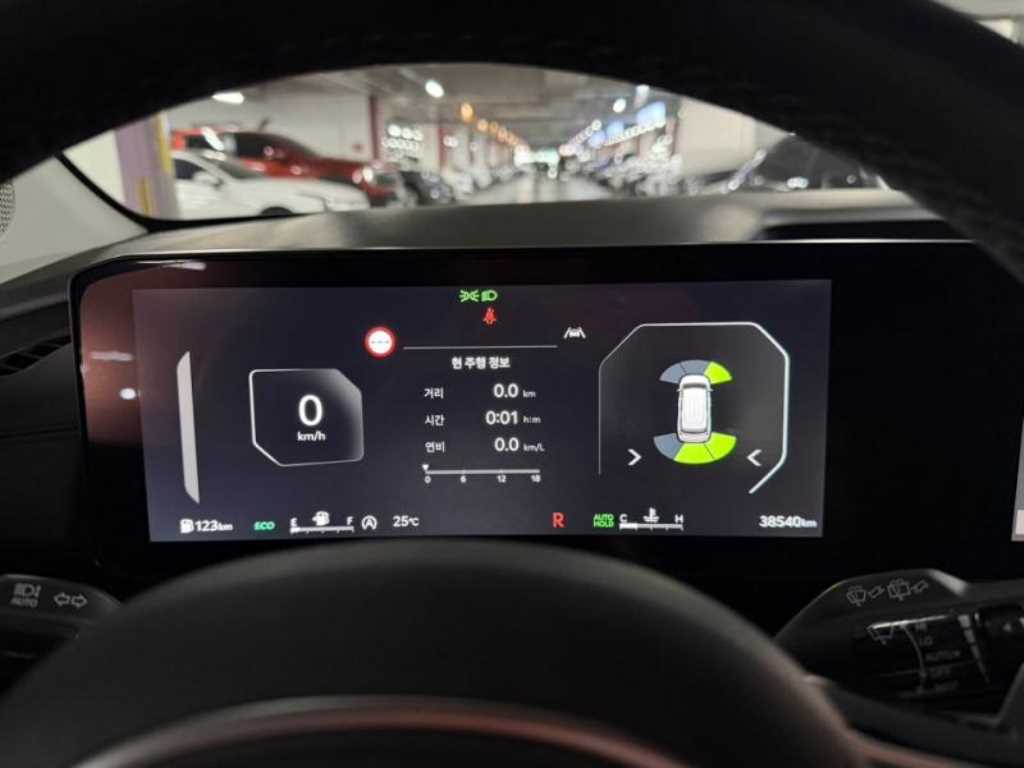 KIA Carnival - Vista 9