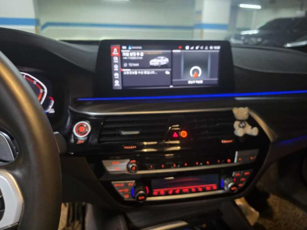 BMW 5 Series - Vista 10