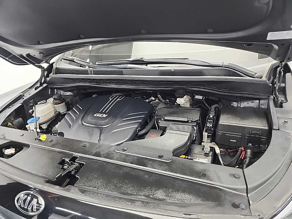 KIA Carnival - Vista 5