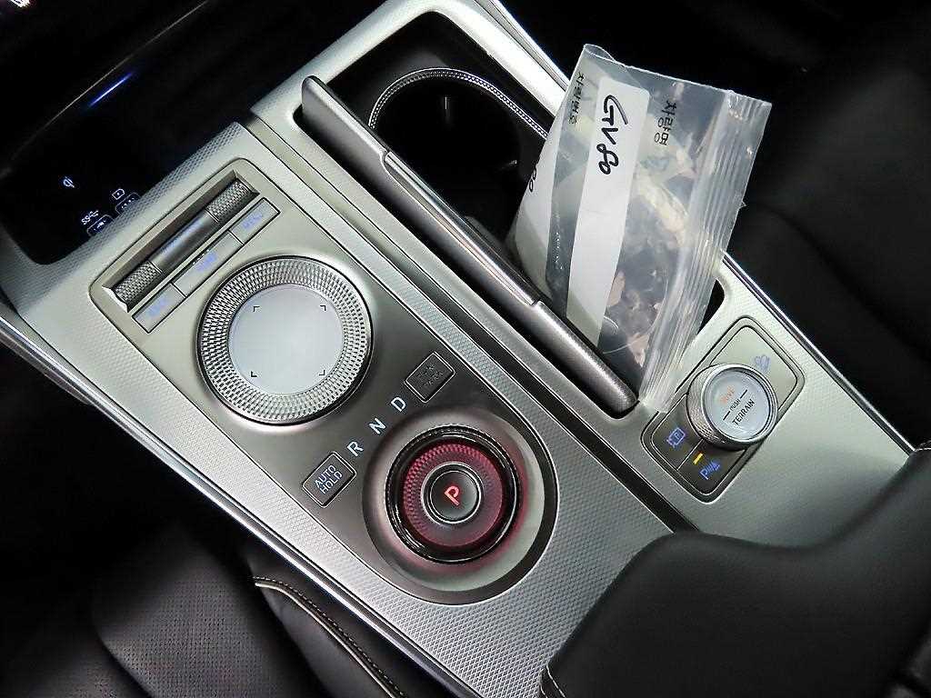 Genesis GV80 - Vista 10