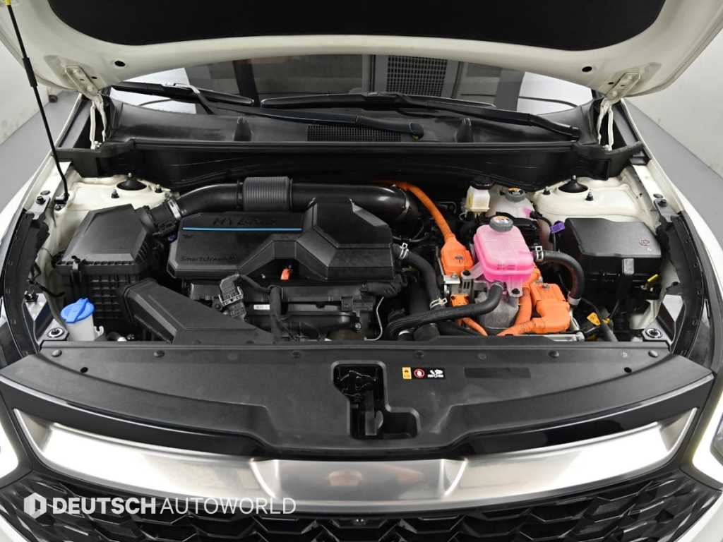 KIA Sportage - Vista 6