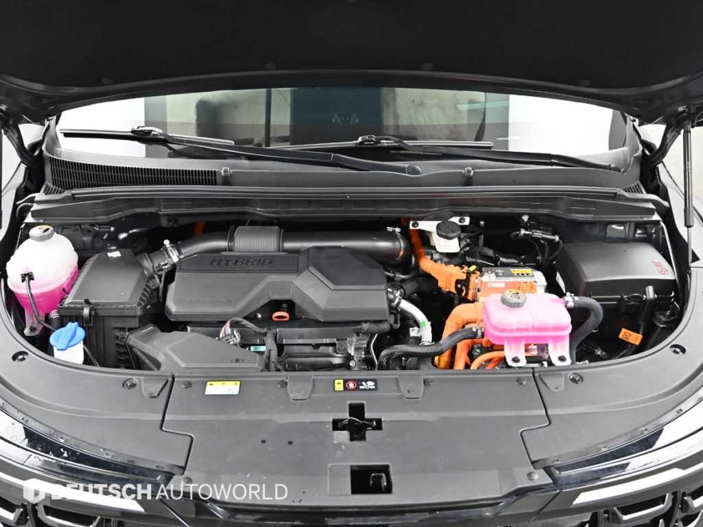 KIA Carnival - Vista 6