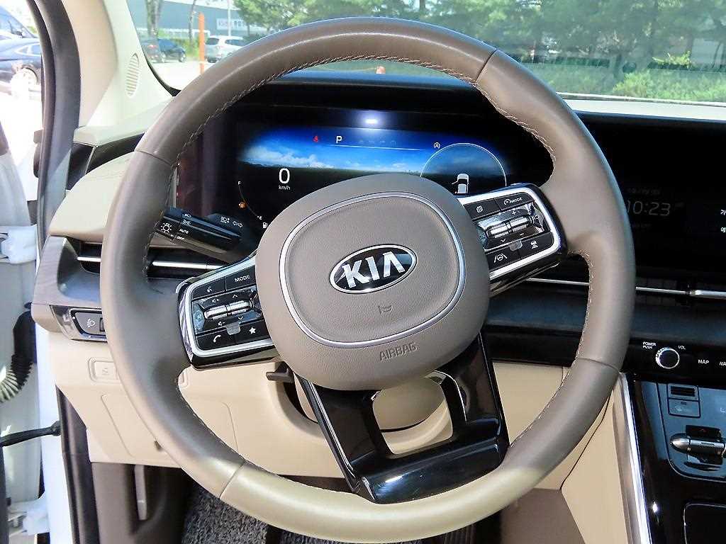 KIA Carnival - Vista 8