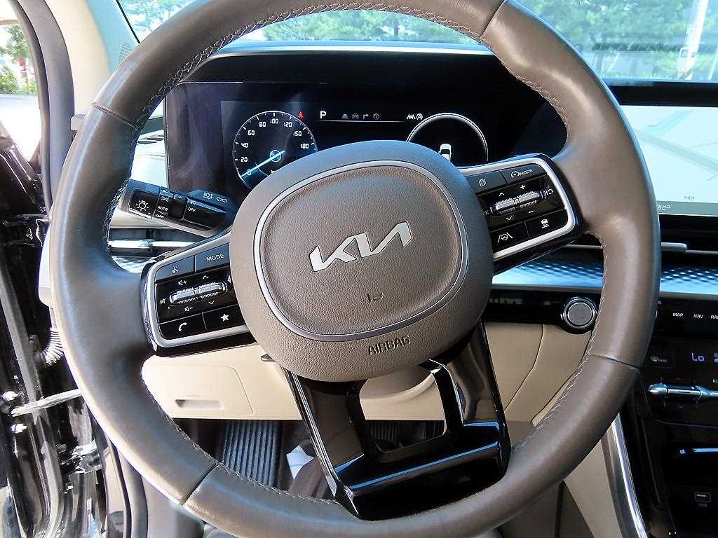 KIA Carnival - Vista 9