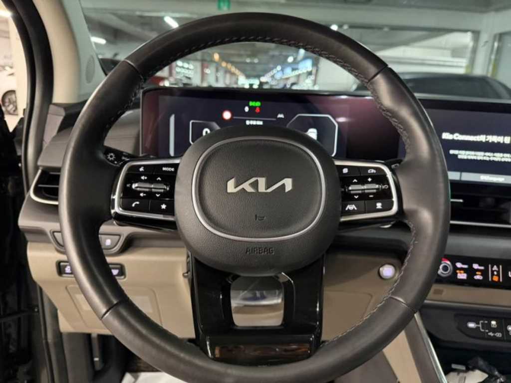KIA Carnival - Vista 8